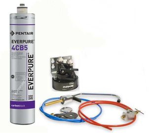 Фильтр Everpure 4CB5 DWS