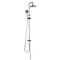 Душевая колонна GL-BAR-0101 GLOBUS LUX